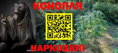 молекула духа Гай
