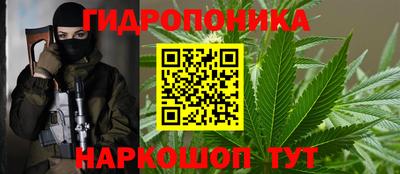 МДПВ Гатчина