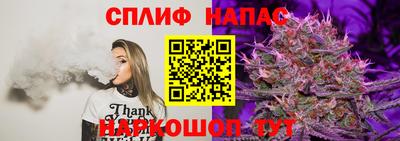 Альфа ПВП Гагарин