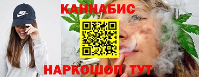 МДПВ Гатчина