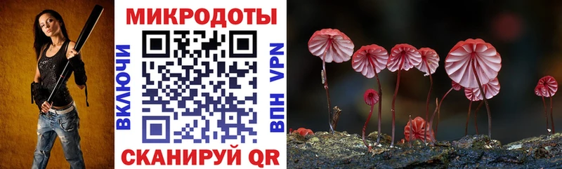 kraken вход  Ирбит  Псилоцибиновые грибы мицелий 
