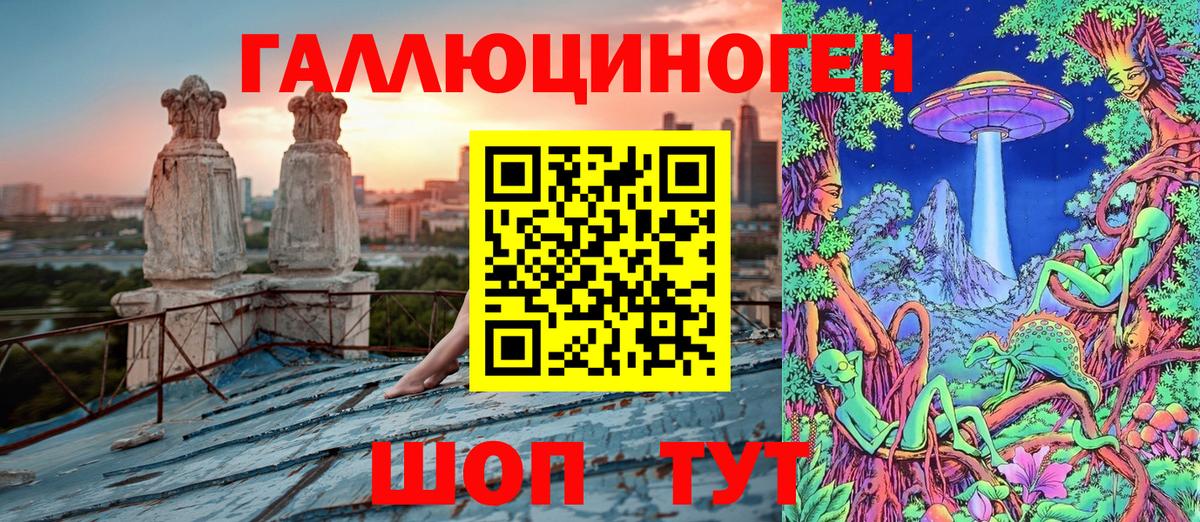 Ирбит  Псилоцибиновые грибы Psilocybe  Псилоцибиновые грибы прущие грибы  Вход с VPN 
